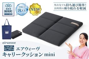 エアウィーヴ キャリークッションmini | airweave おすすめ エアウィーブ air weave 洗える 洗濯 クッション 座布団 椅子 持ち運び ベルト付き