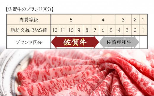 佐賀牛セット 年4回定期便コース(5人前) P-309