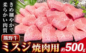 牛肉 熊野牛 ミスジ 焼肉用 500g 株式会社Meat Factory《30日以内に出荷予定(土日祝除く)》和歌山県 日高川町 熊野牛 牛 和牛 焼肉 希少部位 ミスジ 焼肉---wshg_fmfy29_30d_24_24000_500g---