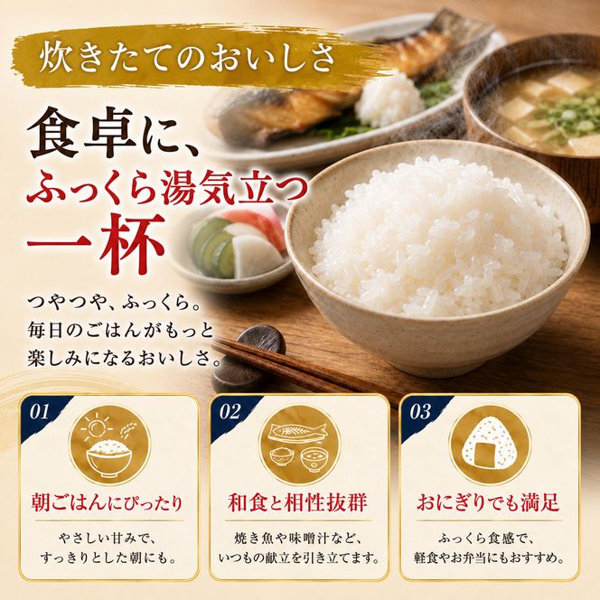 つきあかり 定期便 7回/10kg（5kg×2袋） 令和8年産 新米 ブランド米 白米 精米 【小分け】 宮城県大河原町産