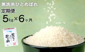 【定期便 6ヶ月】 減農薬栽培 ひとめぼれ 無洗米 5kg 【713】