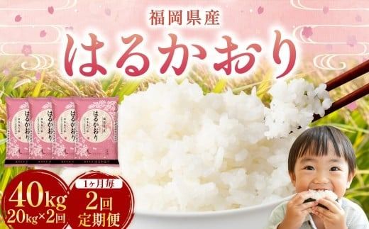 【1ヶ月毎2回定期便】 はるかおり 20kg 計40kg ／ 米 コメ お米 ライス ご飯 ごはん 飯 食品 精米 定期便 常温 福岡県 香春町
