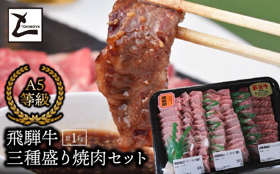 A5飛騨牛 三種盛り焼肉セット計1kg