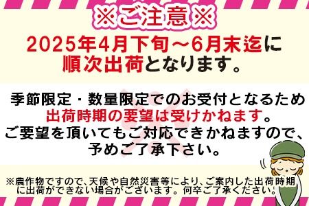 予約受付！数量限定！【2025年発送】＜宮崎県産 太陽のタマゴ A等級 4Lサイズ×2玉（合計約1kg）＞2025年4月下旬～6月末迄に順次出荷【 果物 フルーツ 太陽のタマゴ 太陽のたまご 完熟マンゴー マンゴ― 期間限定 先行予約 ギフト 贈答用 送料無料 】【a0259_ja】