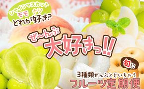 ブレンドファーム厳選!京丹後おススメフルーツ定期便3種（桃、シャインマスカット、新興梨） 桃 シャインマスカット 新興梨 フルーツ 定期便 おすすめ　BF00020