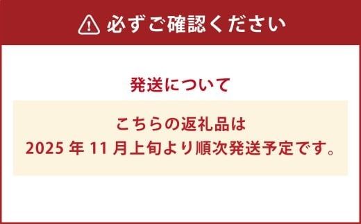 博多甘うぃ （キウイフルーツ） 約3.6kg 【2025年11月上旬～11月下旬発送予定】 キウイ 果物 フルーツ 九州 福岡県 香春町 冷蔵