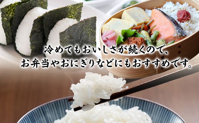 令和7年産　毎月お届け　定期便　富水米　精米　20kg×12か月　にこまる 142069_CP019