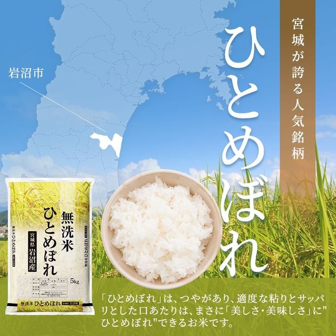 【 令和7年産 】無洗米 ひとめぼれ 5kg 岩沼産 白米 東北 宮城県産 宮城米