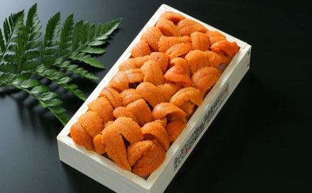 極上 エゾバフンウニ 折詰100g・塩水パック100g 食べ比べセット 配送期間C：10月下旬〜11月下旬 [mh-0246_C]