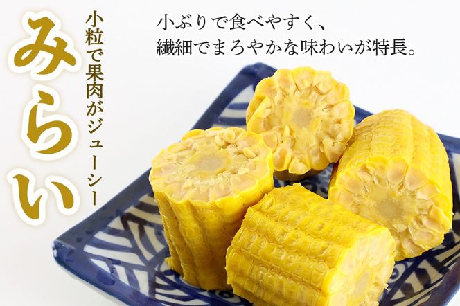 とうもろこし（レトルト真空パック）「市右エ門のきみ」みらい 6本セット（大きいサイズ）|ymdf-00011