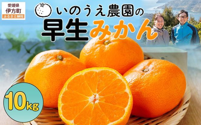 【先行予約】いのうえ農園の早生みかん 10kg ※離島への配送不可（2026年11月中旬より順次発送） IKTAI010