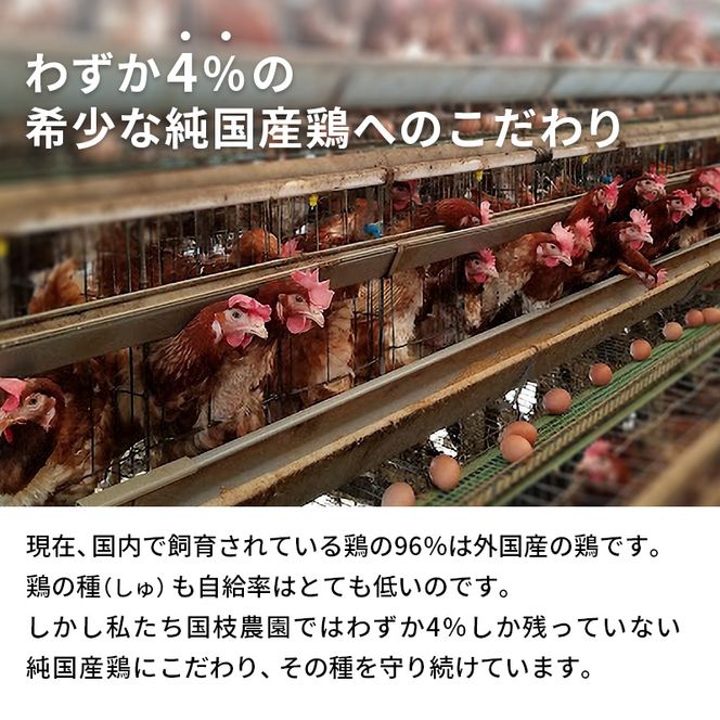 卵 わずか4%の希少な純国産鶏 いけだの森たまご 40個 こだわり おこめのたまご 玉子 鶏卵 生卵 産地直送 冷蔵配送 TKG 卵かけご飯 岐阜県産 