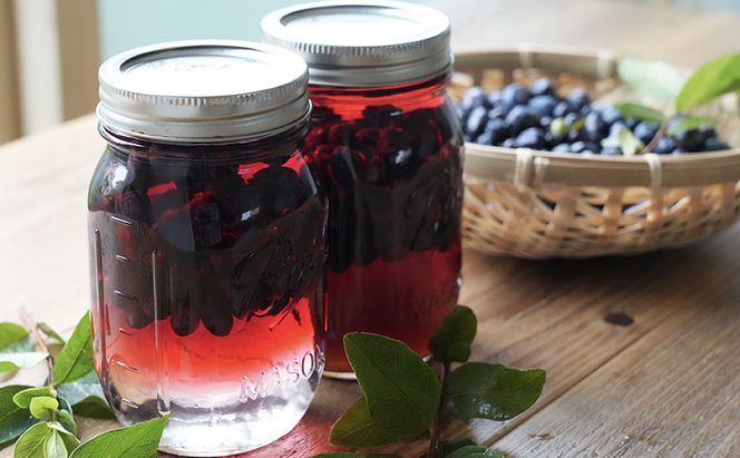 厚岸ハスカ 冷凍ハスカップ 1袋（750g） アントシアニン スーパーフード 果実 ビタミン ミネラル 抗酸化作用 ポリフェノール 北海道産 