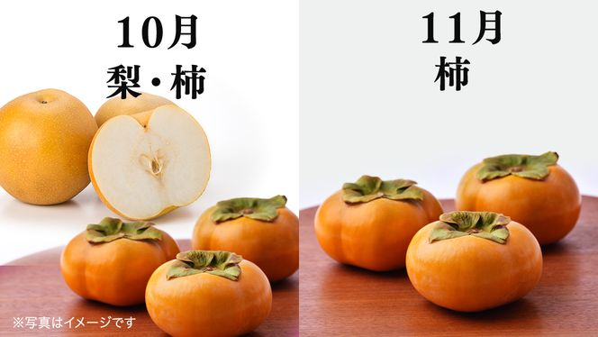 品種おまかせ 旬 の フルーツセット 定期便 3回 ( 茨城県共通返礼品：大子町 ) 詰め合わせ フルーツ 旬 定期 3回 食べ比べ ご褒美 贈り物 ご家庭用 農家直送 産地直送 [FC211us]