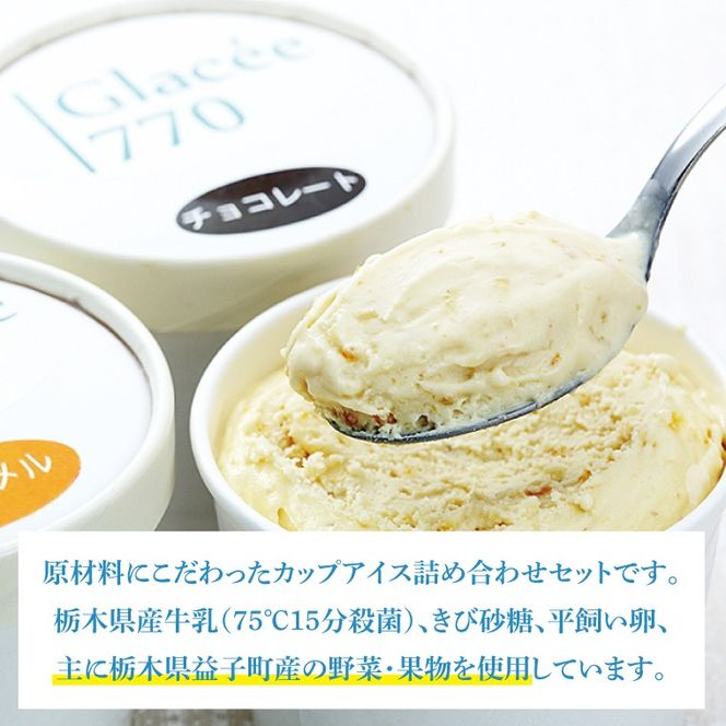 【ギフト対応可】アイスクリーム工房「Glacée770」の素材にこだわった無添加アイスクリームセット 益子町 ふるさと納税 無添加 アイスクリーム こだわり おまかせ カップアイス 牛乳 きび砂糖 卵 たまご 野菜 果物 フルーツ(AB002)