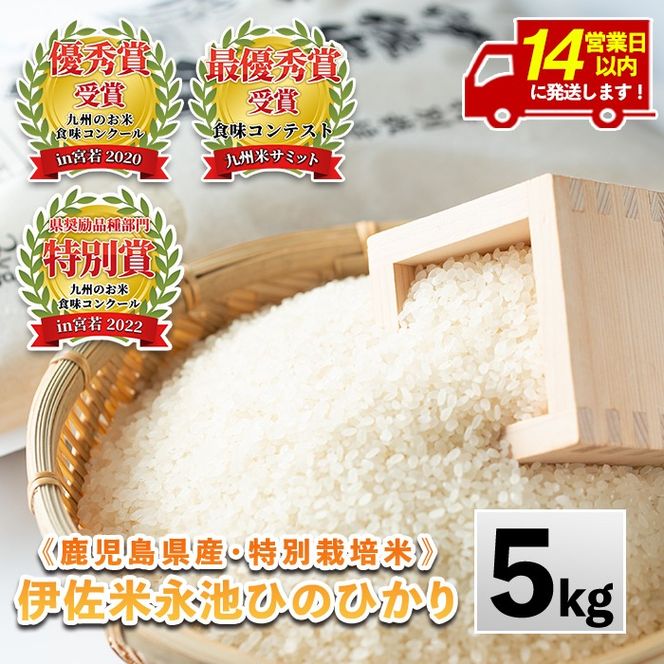 Z7-01 ＜14営業日以内に発送！＞《数量限定》令和7年産 特別栽培米 伊佐米永池ひのひかり(5kg) 伊佐市 永池 特産品 伊佐米 九州米サミット 食味コンテスト 最優秀賞受賞 ヒノヒカリ 5kg 【エコファーム永池】