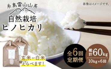 【 全6回 定期便 】 自然栽培 ヒノヒカリ 10kg 《糸島》【大石ファーム】 [ATE021]