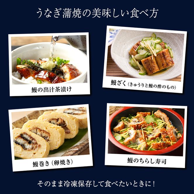うなぎ蒲焼バラエティセット（三河産） 魚貝類 ウナギ 鰻 