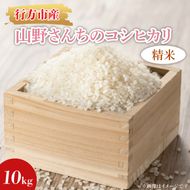 【2026年9月上旬から順次発送開始】★令和8年度産★山野さんちのコシヒカリ 10kg(精米)｜米 お米 こめ こしひかり コシヒカリ 令和7年産 R7年産 精米 茨城県 行方市(BR-7-1)