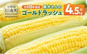 【令和8年発送】黒木さんのゴールドラッシュ4.5kg【 数量限定 季節限定 産地直送 とうもろこし コーン とうきび 野菜 】 [C10902]