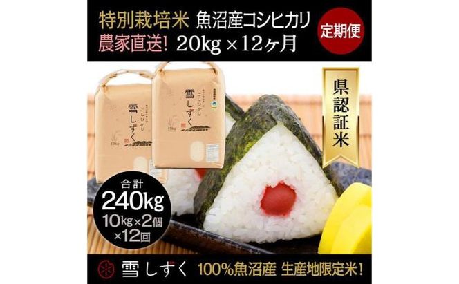【令和8年産】定期便！農家直送！県認証特別栽培魚沼産コシヒカリ【合計240kg】毎月20kg×12回 精米 ご飯 ブランド米 銘柄米