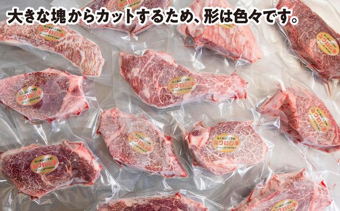北海道産 黒毛和牛 みついし牛 A5 ヒレステーキ 計 600g (約150g×4枚) フィレ ヘレ 