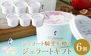 ジェラート騎士が贈る　ジェラートギフト6個セット【菓子 アイス ヨーグルト ジェラート スイーツ デザート 乳製品 仙台 ギフト グルメ 高級 甘味 贈り物 プレゼント クリーミー】 041009_GS002