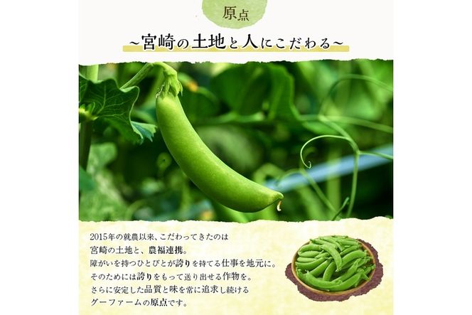＜先行予約受付中！2026年2月下旬～4月上旬の間に発送予定＞期間限定！スナップエンドウ(約2kg)野菜 やさい 旬 新鮮 サラダ そら豆 えんどう豆  宮崎県産【GF-1】【グーファーム】