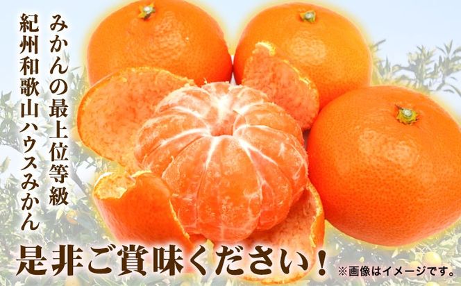【先行予約】赤秀品 紀州和歌山 ハウス みかん 約2.5kg 株式会社魚鶴商店《2026年6月下旬頃～7月下旬頃出荷》和歌山県 日高川町 みかん ミカン 蜜柑 フルーツ 柑橘---wshg_uot145_6g7g_25_20000_2500g---