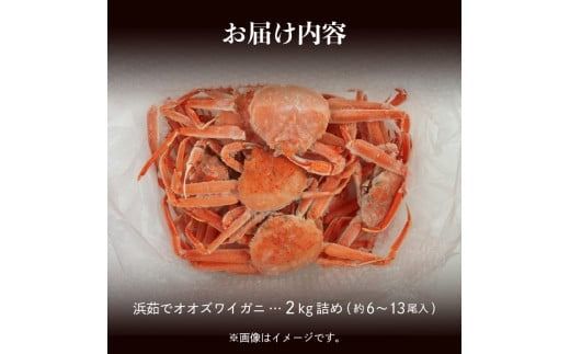【2026年2月発送　先行予約】【訳あり】浜茹でオオズワイガニ 2kg 詰めセット 北海道噴火湾産 _HD206-001