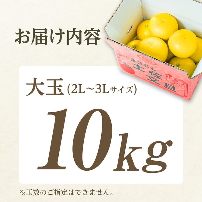 【日本ギフト大賞2024受賞】先行予約 園主こだわり土佐文旦 【大玉10kg】（3L～2L） 2027年1月下旬より順次発送 家庭用 ぶんたん ブンタン 柑橘 フルーツ 果【やの一果彩】 [BQAC003]