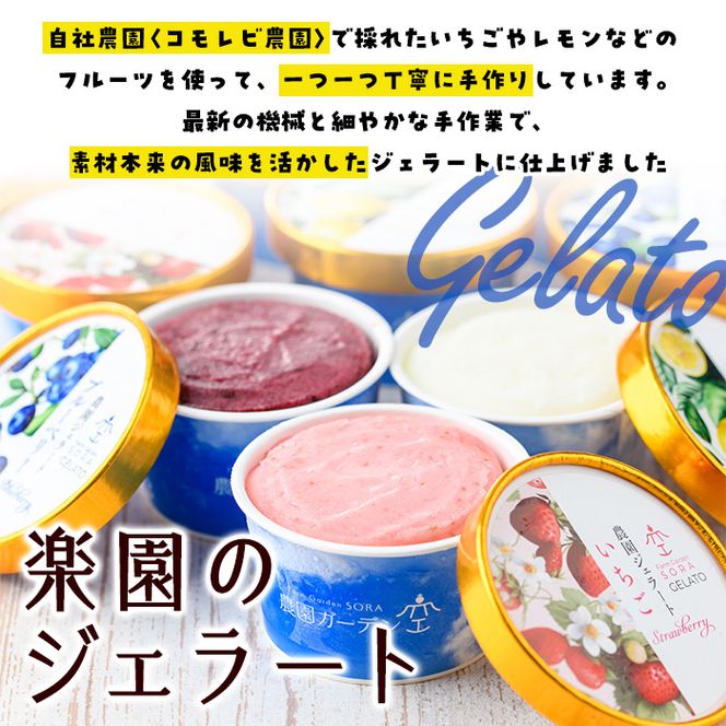 楽園のジェラート3種セット(合計9個) スイーツ デザート おやつ ジェラート アイス 夏 いちご レモン ブルーベリー 自社農園【農園ガーデン空】akn026-05