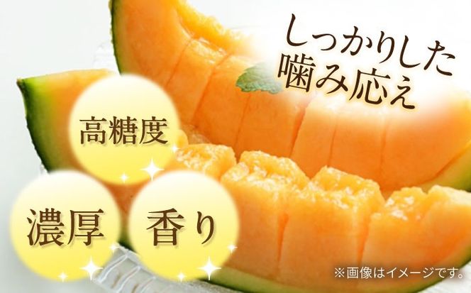 【2026年4月下旬〜発送】【4回定期便】訳あり メロン 4種 食べ比べ / プリンスメロン イエローキング タカミレッド タカミメロン / メロン めろん フルーツ 果物 / 南島原市 / 南島原果物屋[SCV046]
