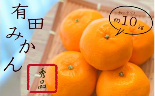 紀州有田みかん 秀品 10kg サイズおまかせ(Ｌ・М・Ｓ) ※2026年11月下旬～2027年1月中旬頃順次発送予定 ※北海道・沖縄・離島への配送不可 【sml004-r-10A】