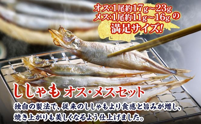 北海道産ししゃもオスメス40尾セット 北海道 稀少 魚 シシャモ メス オス セット おつまみ 魚貝類 干物 本物 人気 希少 塩 味付け 脂のり 旨み 美味しい 大きい