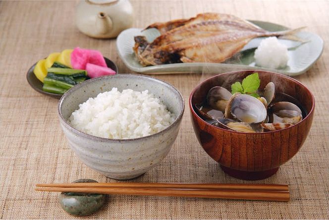 【生活応援米】湧水で育った小林市産ブレンド米 15kg（5kg×3袋 お米 米 ブレンド米 白米 精米 家庭用）