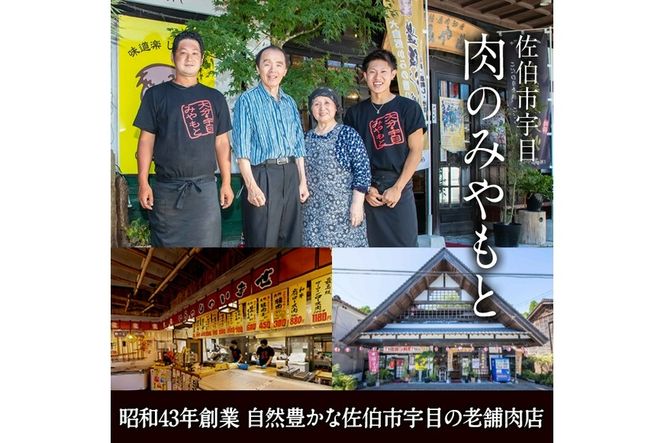 老舗肉屋の大人気手羽先 (6本入り×5P) 国産 から揚げ からあげ 味付き 簡単 冷凍 お取り寄せ 惣菜 おかず おつまみ 揚げるだけ 小分け 大分県 佐伯市【HD220】【さいき本舗 城下堂】