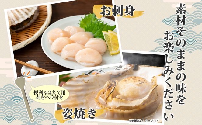 北海道産 活ほたて 2年貝 約2kg 15枚～22枚 2027年1月中旬以降水揚げ次第出荷 ほたて 帆立 ホタテ 生 貝 魚貝 魚介 海産 海鮮 貝柱 噴火湾 刺身 送料無料 北海道 洞爺湖町