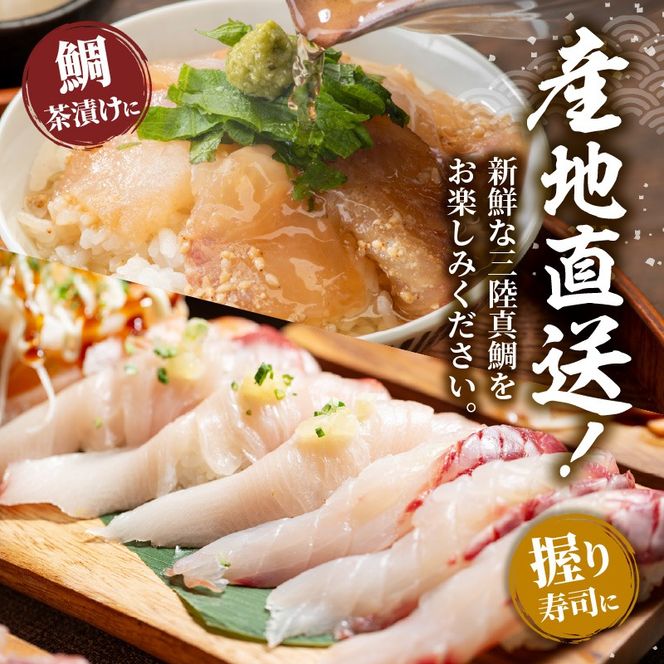 訳あり 真鯛 刺身 600g 天然 フィレ 鯛 たい マダイ 真タイ 魚 魚介 刺身 お刺身 鯛めし 鯛茶漬け お茶漬け 寿司 刺し身 冷凍 しゃぶしゃぶ 鯛しゃぶ 焼き物 小分け ご飯 おかず 三陸産 岩手県 大船渡市 [kouyou009]