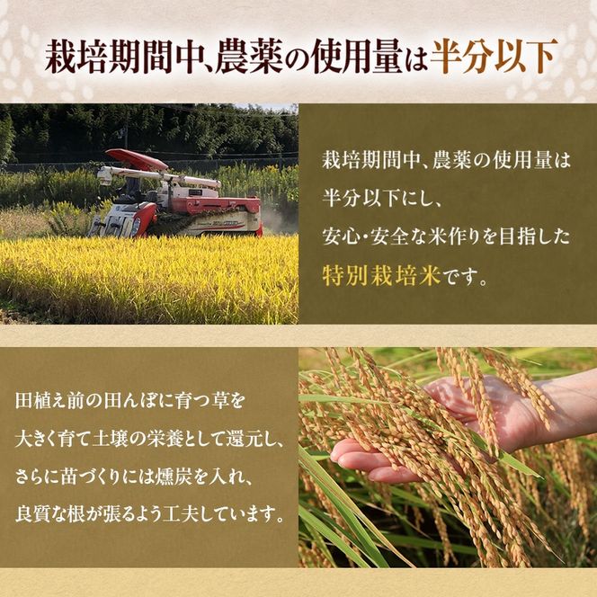 定期便 令和8年産 新米 白米 5kg×6回 特別栽培米 にこまる （ 山田錦 ）　米 お米 こめ コメ 特栽米 5kg 6回 30kg ひょうご安心ブランド ご飯 ごはん ゴハン 精米 兵庫県 加西市