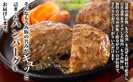 【石垣島ブランド豚】もろみ豚 特製 ハンバーグ 100g×8個【合計800g】【もろみで育てる自慢の豚肉】小分け 惣菜 AH-8-1