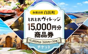 とれとれヴィレッジ　15,000円分商品券(500円×30枚)チケット 304018_CB002