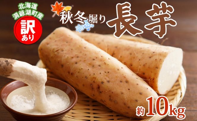 洞爺湖町産 訳あり 長芋 約10kg 2026年12月上旬から順次お届け 長いも 国産 北海道産 訳アリ 家庭用 不揃い とろろ 山かけ ステーキ 生食 調理 野菜 芋 旬 北海道 洞爺湖町
