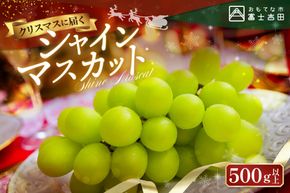 【クリスマスに届く】ジューシーで甘さ抜群　厳選シャインマスカット500g 【2025年12月発送】期間限定 シャインマスカット ぶどう シャイン フルーツ 果物 山梨 富士吉田