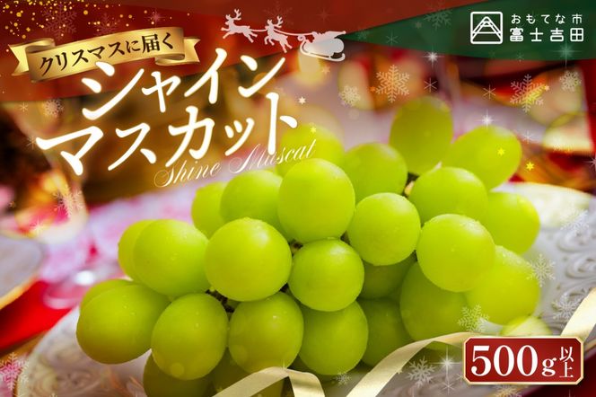 【クリスマスに届く】ジューシーで甘さ抜群　厳選シャインマスカット500g 【2025年12月発送】期間限定 シャインマスカット ぶどう シャイン フルーツ 果物 山梨 富士吉田