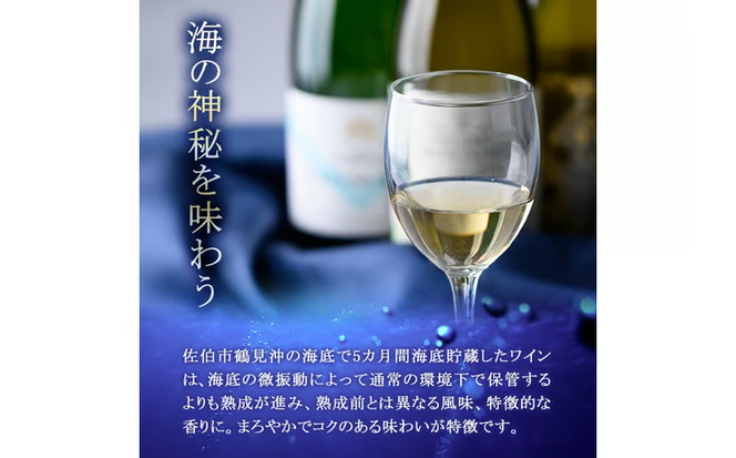 海底貯蔵 白ワイン MARIREINE ロネア コート デュ ローヌ レジョンド デ トック 2024 (750ml・1本) ワイン 白ワイン フランス 酒 パーティー マリレーヌ 海底蔵の眠り酒 熟成 大分県 佐伯市【FP032】【フルタ酒店】