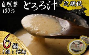 【全3回定期便】 とろろ 冷凍 125g × 6個 自然薯 100％ 小分け セット とろろ汁 長芋 山芋 お手軽 農林水産省賞 受賞 ご飯 お供 そば つけ汁 健康 栄養 夏 バテ とろろ芋 個包装 静岡県 藤枝市