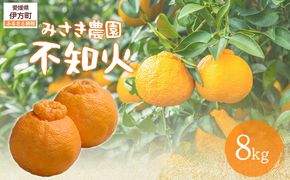 不知火 8kg ※北海道、沖縄・離島への配送不可（2026年3月上旬ごろから順次発送） IKTAP004