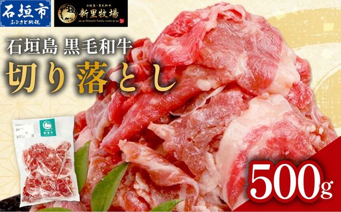 石垣島産 黒毛和牛 新里牛 多用途抜群！ 切落し (500g×1) 500g SZ-13