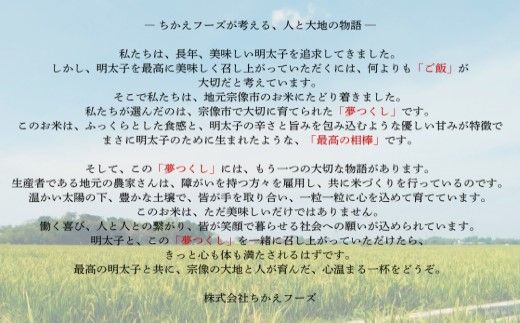 宗像産 夢つくし 5kg【ちかえフーズ】_HA1807